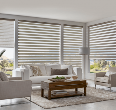 Layered Zebra shades